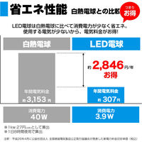 朝日電器 LED電球 ボール形G95 LDG4D-G-G2101 1個