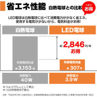 朝日電器 LED電球 ボール形G95 LDG4L-G-G2102 1個