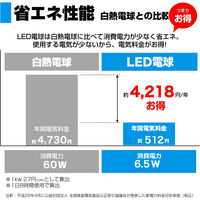 朝日電器 LED電球 ボール形G95 LDG7D-G-G2103 1個
