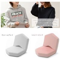 セルタン インテリア 座椅子 テクノグレー A897-647GRY 1台（直送品）