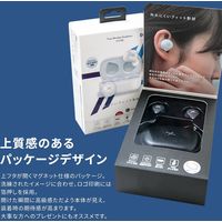 LIVIL audio 完全ワイヤレスイヤホン 完全独立型 Bluetooth イヤフォン LIV120 Qualcomm パールホワイト（直送品）