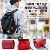 LIVIL audio 完全ワイヤレスイヤホン 完全独立型 Bluetooth イヤフォン LIV110 Qualcomm スノーホワイト（直送品）