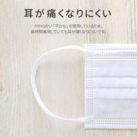 MSソリューションズ 不織布マスク ふつうサイズ 50枚入り PL-FM03WH50EF 2箱（直送品）