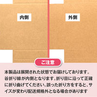 ザップ タトウ式(ヤッコ型)メール便ケース ネコポス B5サイズ 7552 1箱(50枚入)（直送品）