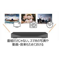 パナソニック ブルーレイディスクレコーダー DMR-2W51 1台