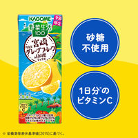 カゴメ 野菜生活100 宮崎月夜実グレープフルーツ＆日向夏ミックス 195ml 1セット（48本）