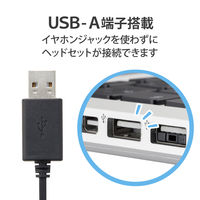 ヘッドセット マイク付イヤホン 両耳 セミオープン型 USB接続 ミュートスイッチ付 HS-EP19UBK 1個 エレコム（直送品）