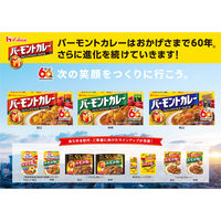 ハウス食品 プライムバーモントカレー 中辛 2個