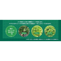ヤマモリ　タイカレーグリーン　180g　1セット（3食入）