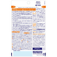 マルチビタミン 約60日分(60粒入り)【小林製薬の栄養補助食品】　1個　サプリメント