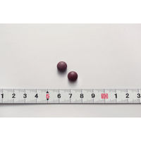 ブルーベリー ルテイン メグスリノ木 約30日分(60粒入り)【小林製薬の栄養補助食品】×2袋　サプリメント