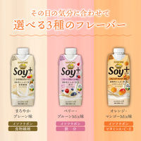 カゴメ 野菜生活Soy+ オレンジ・マンゴーMix 330ml 1セット（24本）