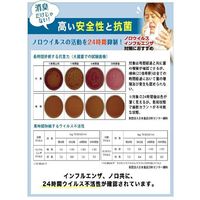 除菌消臭スプレー 100ml 天然スーパーバイオ210 強力除菌スプレー 安全な天然成分100％ 感染症対策（直送品）