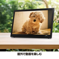 ダイアモンドヘッド 14インチ録画機能付き ポータブルTV OT-PTV14TE 1台（直送品）