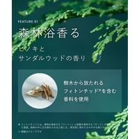 BOTANIST（ボタニスト） ボタニカルボディーソープフォーム モイスト 500ｍl I-ne 泡タイプ