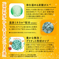 きき湯 炭酸入浴剤 バラエティパック 1パック（24包入） アース製薬