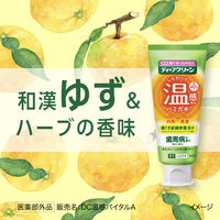 歯磨き粉 フッ素 ディープクリーン 温感ハミガキ 45g 花王