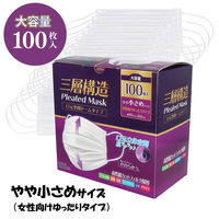 iiもの本舗 三層構造プリーツマスク 口元空間ドームタイプ やや小さめ 大容量 100枚入 4589596695907 1箱（直送品）