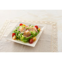 清水産業株式会社 ドロップポンプ 油 オイルポンプ 17960 1個（直送品）