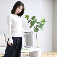 YAMAZEN セラミックヒーター コンパクト 室温センサー 首振り マイコン式 静音 1200W DSF-MR12(W) 1台