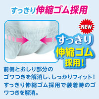 アテント 大人用おむつ 昼1枚安心パンツ  5回 M-Lサイズ 24枚:（1パック×24枚入）エリエール 大王製紙