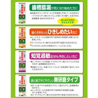 生葉（しょうよう） 歯槽膿漏を防ぐ 薬用ハミガキ ハーブミント味 100ｇ 小林製薬 歯磨き粉