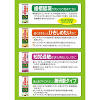 生葉EX（しょうようEX） 歯槽膿漏を防ぐ 薬用ハミガキ ハーブミント味 100ｇ 小林製薬 歯磨き粉