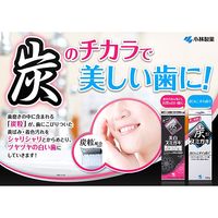 歯磨き粉 ホワイトニング スミガキ 炭配合（清掃剤） フルーティクリアミントの香り 100g 小林製薬