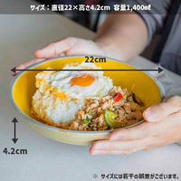 丸利玉樹利喜蔵商店 プレート 22cm Palm パーム 陶器 イエロー 444866 1個（直送品）