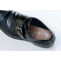 清水産業 消臭 靴 靴消臭剤 デオシェリー 粉タイプ ホタテパウダー 天然成分 470671 1個（直送品）