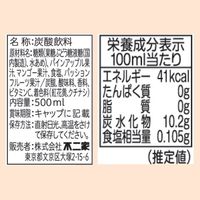 伊藤園 不二家 南国フルーツスカッシュ 500ml ペットボトル 1箱（24本入）