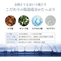 ピアジュール メディカルボディフォーム 300ml サニーシトラスの香り void