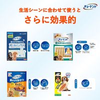 チューデント 歯みがきおもちゃ ボーン M ソフトタイプ ミルクフレーバー 3個 犬 おもちゃ デンタルケア Hartz（ハーツ）