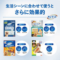 チューデント 歯みがき専用ガム オールインワン SS 国産 約28本入 (65g) 3袋 犬 おやつ 歯磨き Hartz（ハーツ）