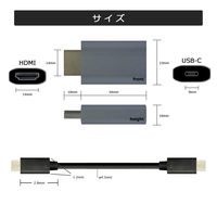 Vodaview USBーC to HDMI変換アダプタ4K60Hz 2mケーブル付 VV-UCFHDM-CC020 1式