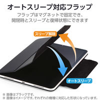 エレコム iPad(A16) (第10世代) フラップケース 超薄型 マグネット着脱 TB-A25RWVPF2BG 1個