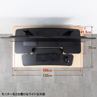 サンワサプライ エルゴノミクスリフトアップデスク 幅1060×奥行630×高さ120～510mm MR-ERGST6BK 1台（直送品）