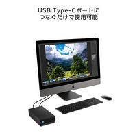 LaCie 外付け HDD 24TB 1big Dock Thunderbolt 3  STHS24000800 ラシー 1個（直送品）