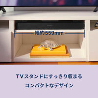 SONOS Ray ブラック RAYG1JP1BLK 1台