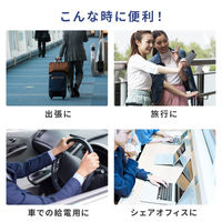 サンワサプライ USB2.0 TypeーCケーブル(Lightning変換アダプタ付き) KB-IPLTCCP6010W 1本