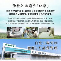 【軒先渡し】萩原 畳付き収納スツール 幅1200×奥行600×高さ450mm ナチュラル RUD-1159NA 1台（直送品）