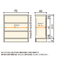 大洋 Shelfit Shelfit エースラック 幅700×奥行400×高さ700mm AR7070MD(NA) 1台（直送品）