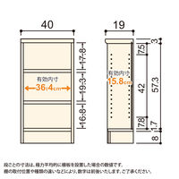 大洋 Shelfit Shelfit カラーラック 幅400×奥行190×高さ700mm NC7040S(DB) 1台（直送品）