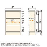 大洋 Shelfit Shelfit カラーラック 幅500×奥行190×高さ700mm ブラウン NC7050S(BR) 1台（直送品）