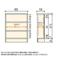大洋 Shelfit Shelfit カラーラック 幅600×奥行190×高さ700mm NC7060S(DB) 1台（直送品）