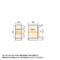 大洋 Shelfit Shelfit カラーラックタフ 幅300×奥行460×高さ700mm NCタフ7030D(DB) 1台（直送品）
