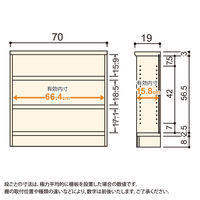 大洋 Shelfit Shelfit カラーラックタフ 幅700×奥行190×高さ700mm NCタフ7070S(WH) 1台（直送品）