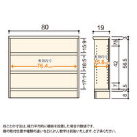 大洋 Shelfit Shelfit カラーラックタフ 幅800×奥行190×高さ700mm NCタフ7080S(DB) 1台（直送品）
