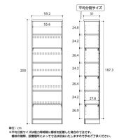 大洋 Shelfit バリュープライスカラーラック 幅592×奥行310×高さ2000mm ブラウン NC2060 (BR) 1台（直送品）