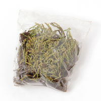 育てるグリーン(MOSS)2 MOSS LAKOLE/ラコレ